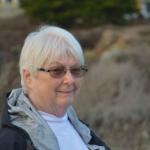 Cambria_0163 (November 04, 2017)